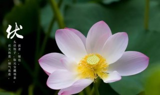 2021入伏多少天（2021入伏几天）