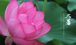 2021年大暑是几月几日（2021年大暑是几月几号）