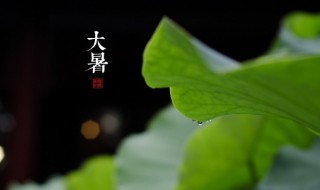 关于大暑的谚语有哪些 大暑的民间谚语