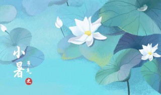 2021小暑节气的含义是什么意思（小暑节气啥意思）