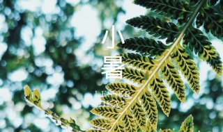 小暑时间代表什么?（小暑在什么时候）