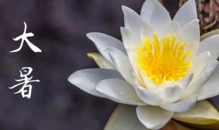 2021年大暑多少天 2021年大暑具体时间