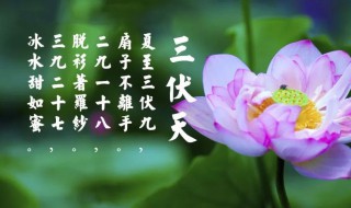 初伏热还是中伏热（初伏和中伏哪个热）