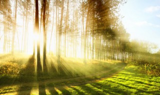 入伏是什么意思啊（进伏什么意思）