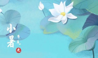 小暑忌讳什么 小暑有什么是禁忌吗