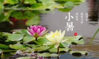 2021小暑大暑是什么时间（2021年大暑是什么时候）