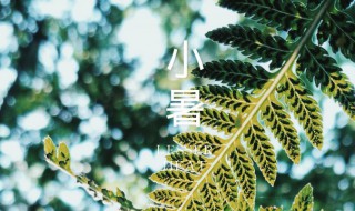 节气小暑是什么意思?（节气小暑是什么意思呀）