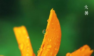 2021年大暑时间（2021年大暑时间几点几分几秒）