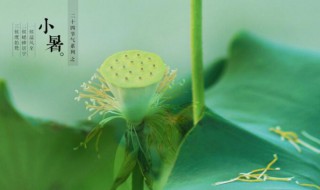 小暑是伏天吗（小暑是伏天吗?）