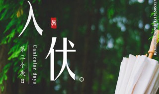 入伏时间怎么算（入伏时间怎么算公式）