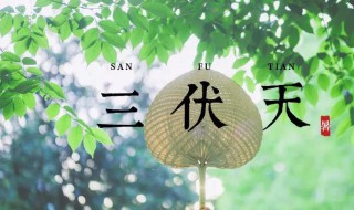 2021年初伏是几月几日（2021年初伏是几月几日几点几分）