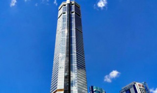 赛格大厦什么时候建的 赛格大厦几几年建成