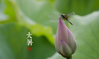 大暑是最热的时候吗（大暑是最热的时候吗?）