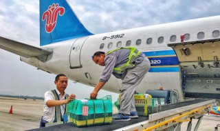 飞机托运怎么办理 飞机托运怎么办理托运