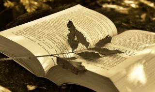 赞美对方时的注意事项 赞美对方时的注意事项有哪些