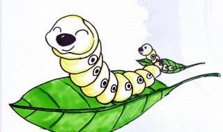 养蚕注意事项（养蚕注意事项和方法）