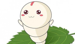 怎么养蚕宝宝才不会死? 为什么养蚕宝宝