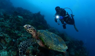 潜水的注意事项有哪些 潜水的注意事项有哪些呢