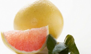 柚子开花要怎么处理才会结果? 柚子开花要怎么处理才会结果