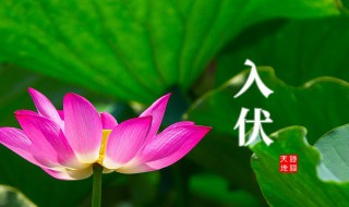 二零二一年入伏时间（二零二一年入伏时间是哪一天）