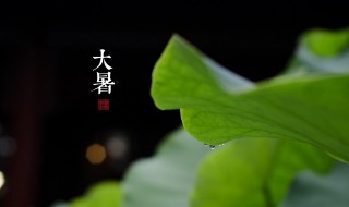 大暑是几伏天 今天是大暑,大暑是几伏