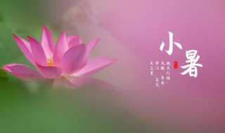 2021年小暑节气意思的简单说明 2021年小暑节气的含义是什么意思
