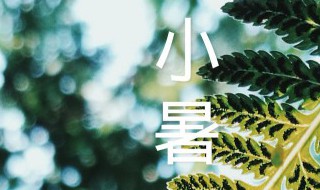 小暑农事歌 小暑儿歌童谣