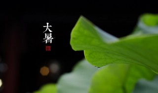 大暑是最热的一天吗（大暑是最热的一天吗为什么）