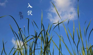 头伏是几月几号2021年 头伏是几月几号2021年几点
