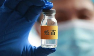 新冠疫苗第一针和第二针隔多久 新冠疫苗第一针和第二针隔多久失效
