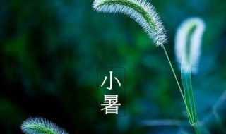 2021年小暑后第一个未日是什么时候 2021年小暑是哪一天