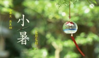 小暑出生的人好吗?（小暑出生的人命运如何）