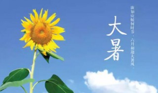 处暑和大暑哪个更热 处暑和大暑哪个更热一点