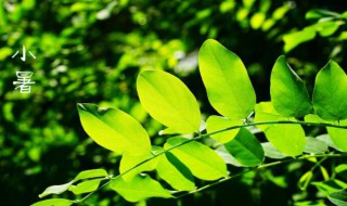 小暑节气的气候特点 小暑的季节特点