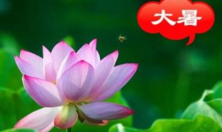 2021年大暑农历什么时候 2021年啥时候大暑