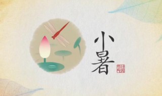 小暑和大暑一共多少天（小暑和大暑一共多少天呢）