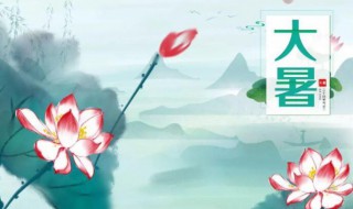 2021年大暑可以领证吗（2021年小暑领证好吗）