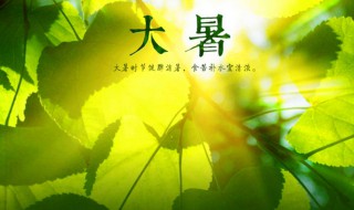 大暑天怎么坐月子 大暑天怎么坐月子好