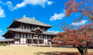 奈良是日本哪个城市（奈良被称为真正的日本的城市）