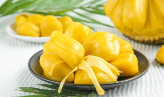 送菠萝蜜的寓意是什么（菠萝蜜花语寓意）