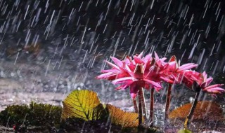安徽梅雨季节是几月份 安徽梅雨季节是几月份开始