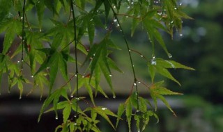苏州梅雨季节是几月份 苏州梅雨季节是几月份有几天