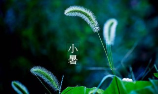小暑节气的含义及习俗（小暑节气的由来和风俗）