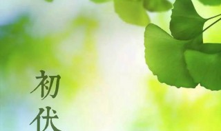 2021什么是三伏天（2021年三伏天是）