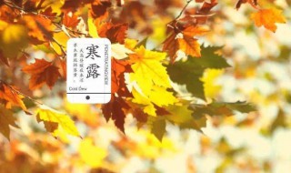 寒露节气的含义是什么以及养生技巧（寒露的节气是什么意思）
