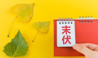 2021三伏天是什么意思 2021年三伏天是什么意思