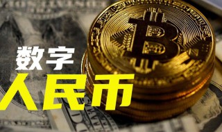 央行数字货币如何开户（央行数字货币如何开户使用）