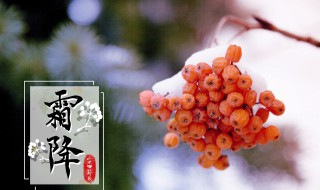 24节气霜降应该吃什么 霜降节气吃啥