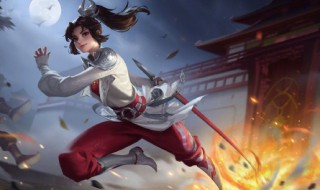 王者荣耀云缨职业定位是什么 王者荣耀云缨是什么位置