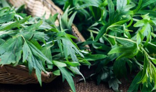 什么人不能用艾草枕头（颈椎病最怕的三种枕头）